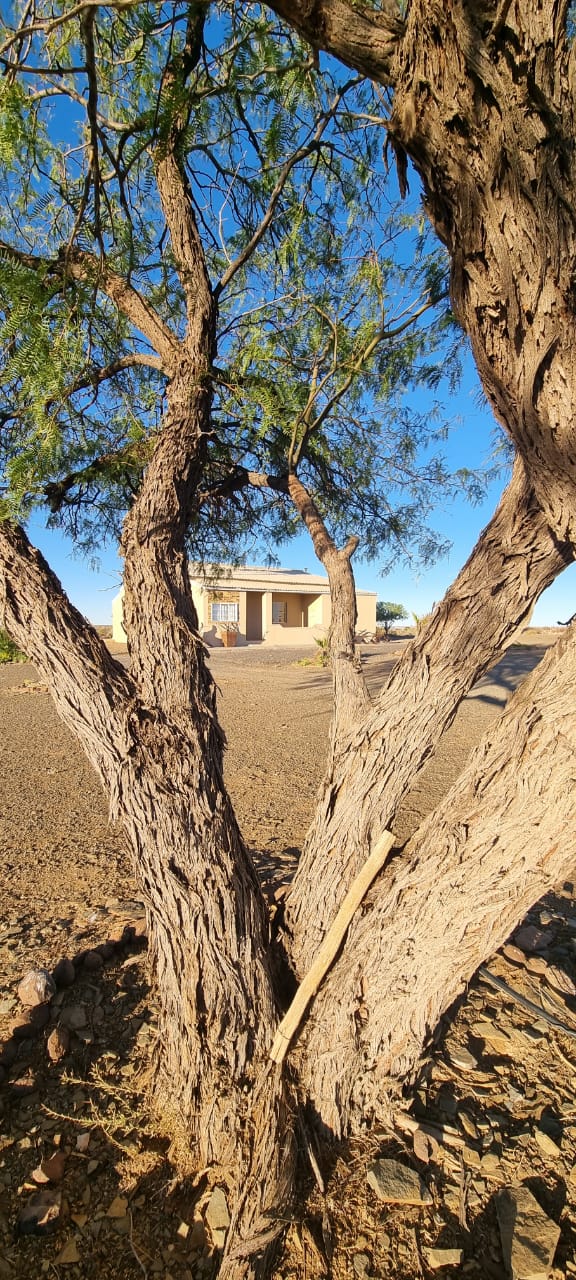 Surroundings