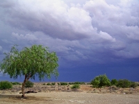 Surroundings
